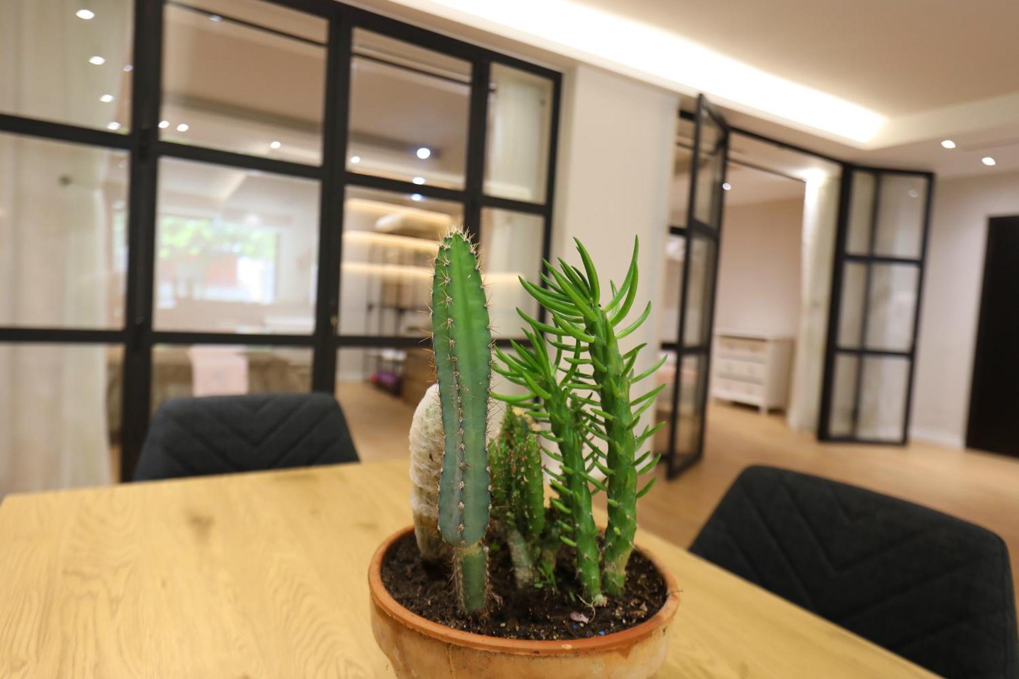 Amantia Apartment Avlonya Dış mekan fotoğraf